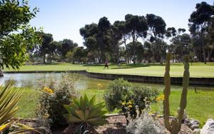 Thumbnail for ﻿﻿Shore Excursion - Golf Day in Malaga