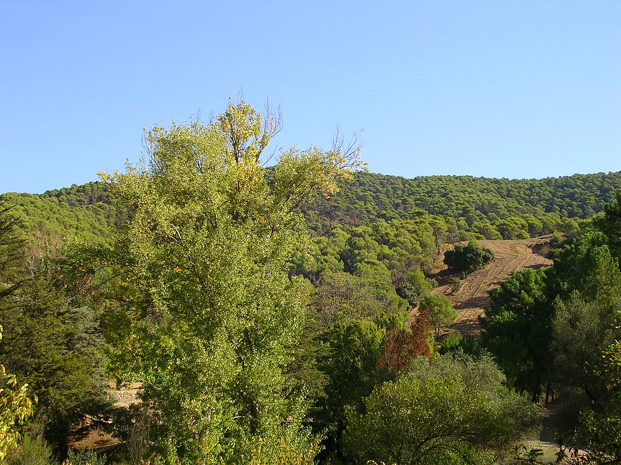 Montes de Malaga Natural Park