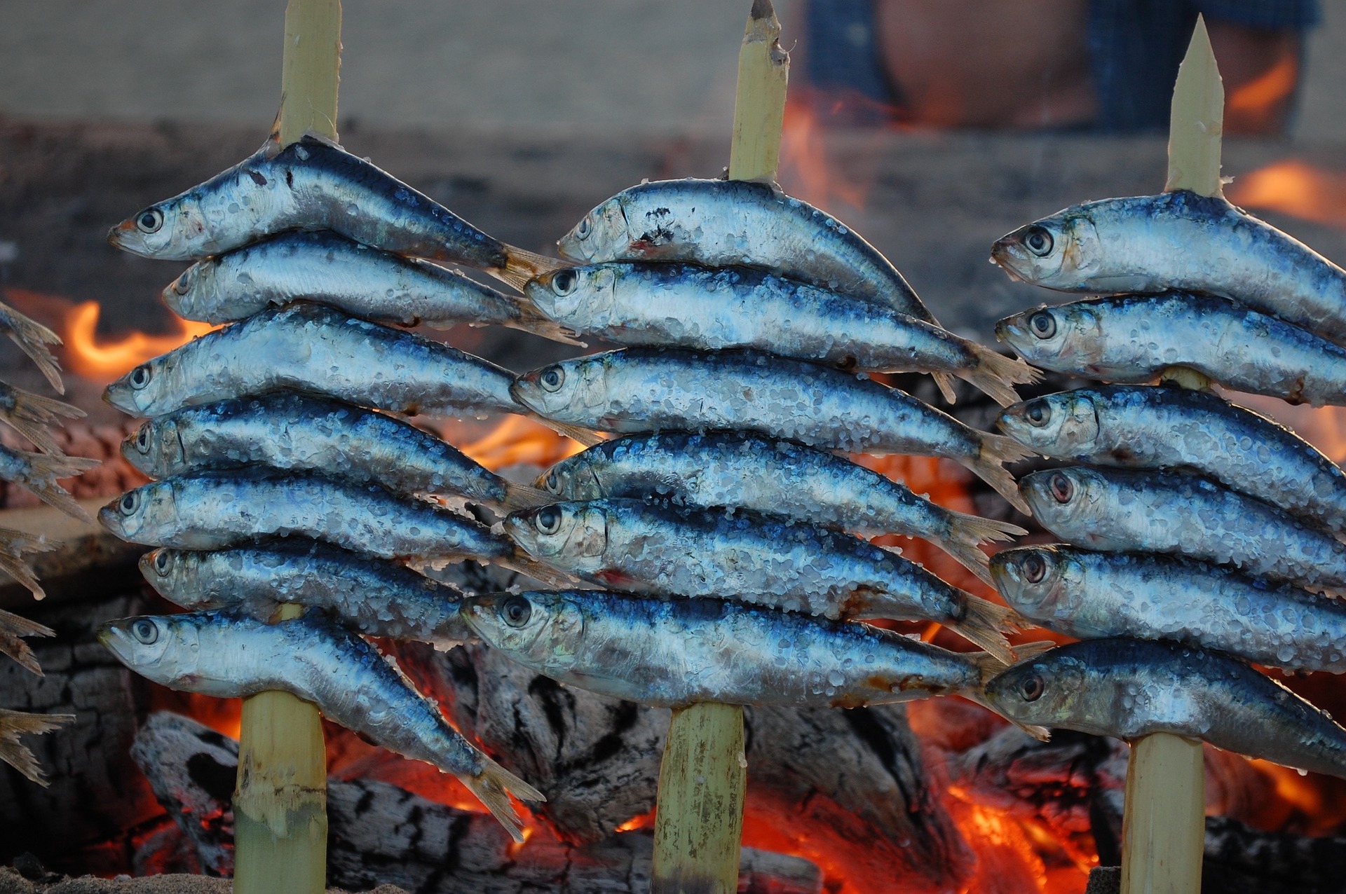 Malaga fish grill