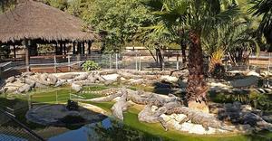 Crocodile Park (Parque de Cocodrilos)