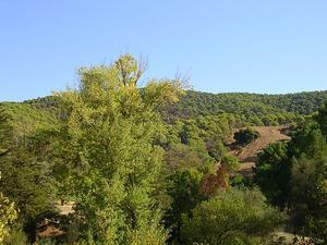 Montes de Malaga Natural Park (Parque Natural Montes de Málaga)