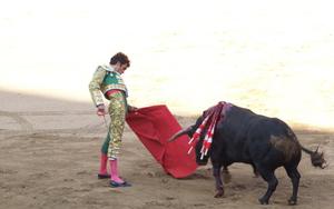 Thumbnail for Bullfighting in Malaga