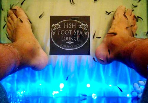 Credit: Dr. Fish - Fish Foot Spa