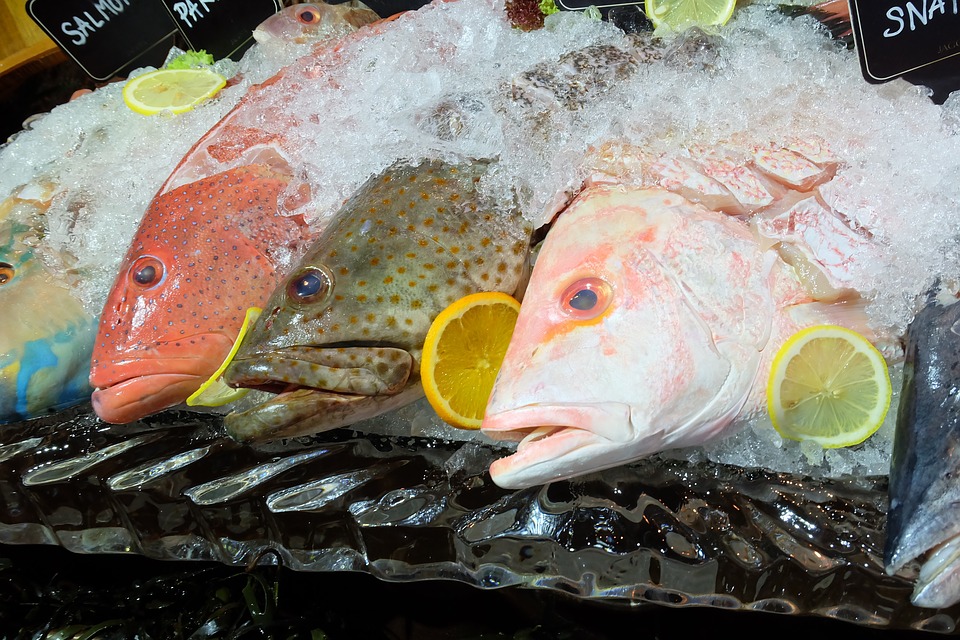 Seafood market. 