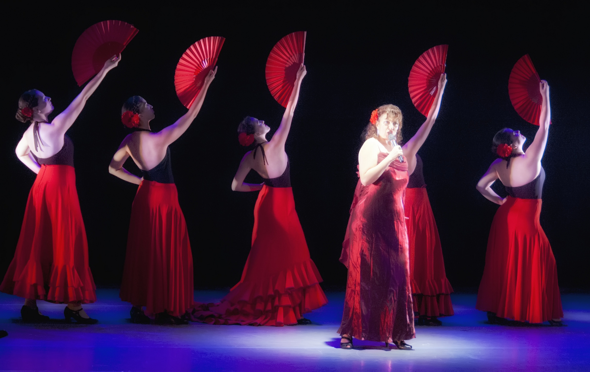 Flamenco Show