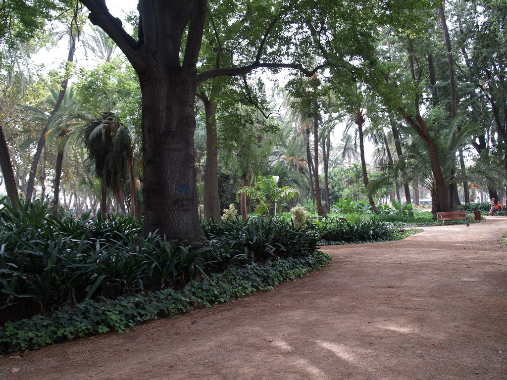 La Concepcion Botanical Garden