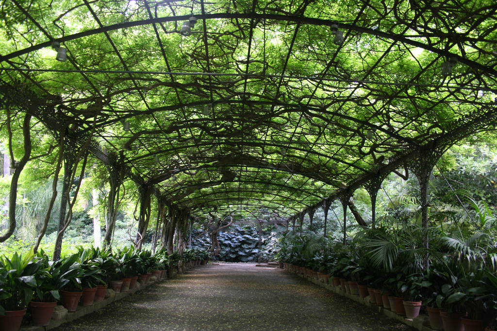 La Concepción Botanical Garden