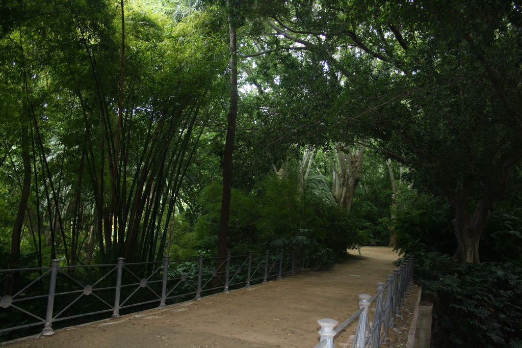 La Concepción Botanical Garden