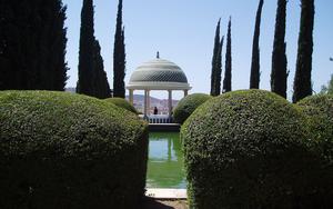 Thumbnail for Discover Nature at the La Concepción Botanical Garden