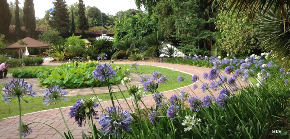 Jardín Botánico-Histórico La Concepción