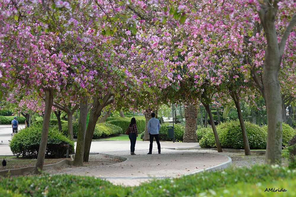 Malaga Park