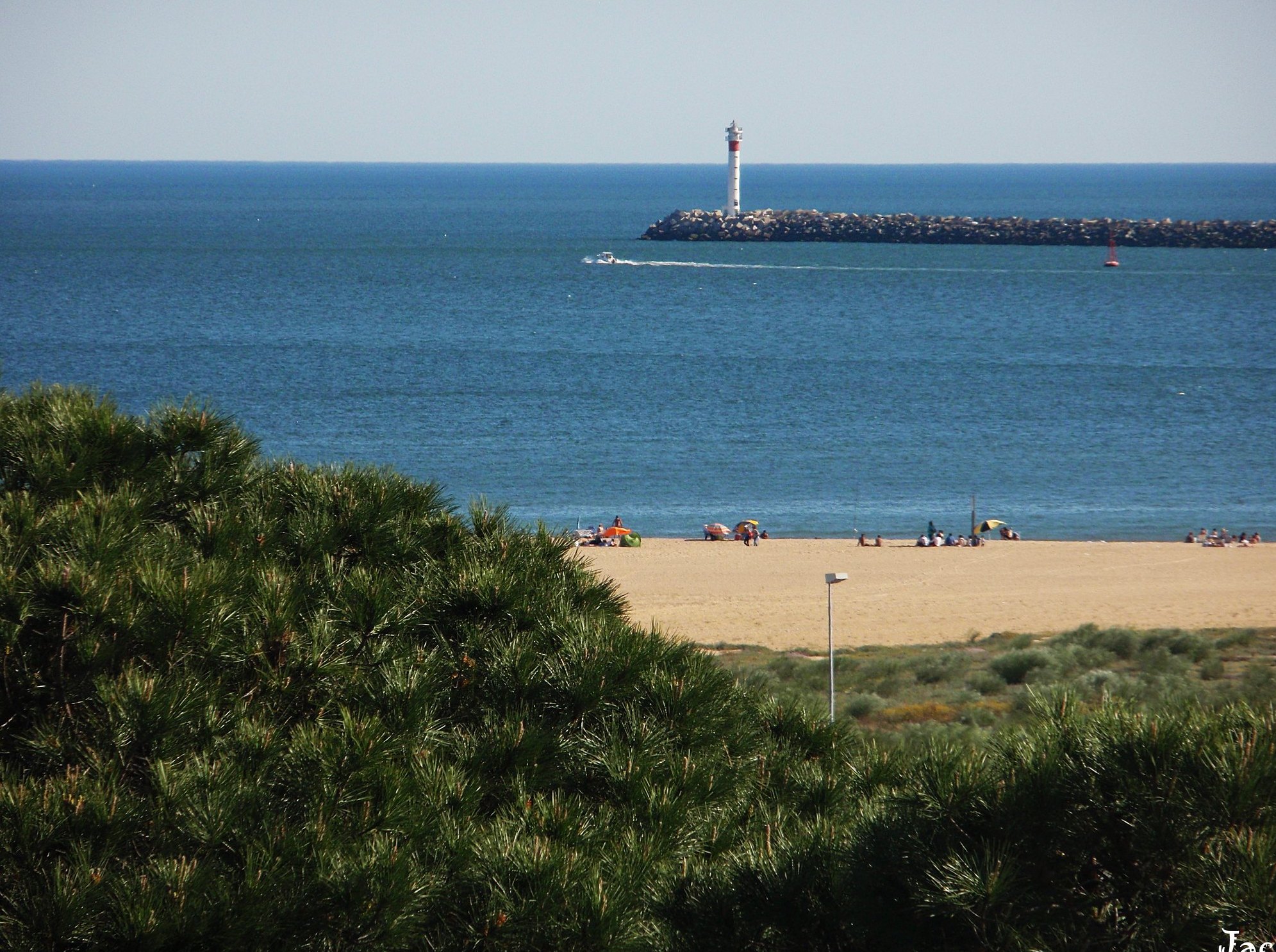 el palo beach