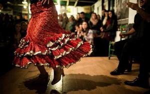 Thumbnail for Where to Watch Flamenco Shows in Malaga