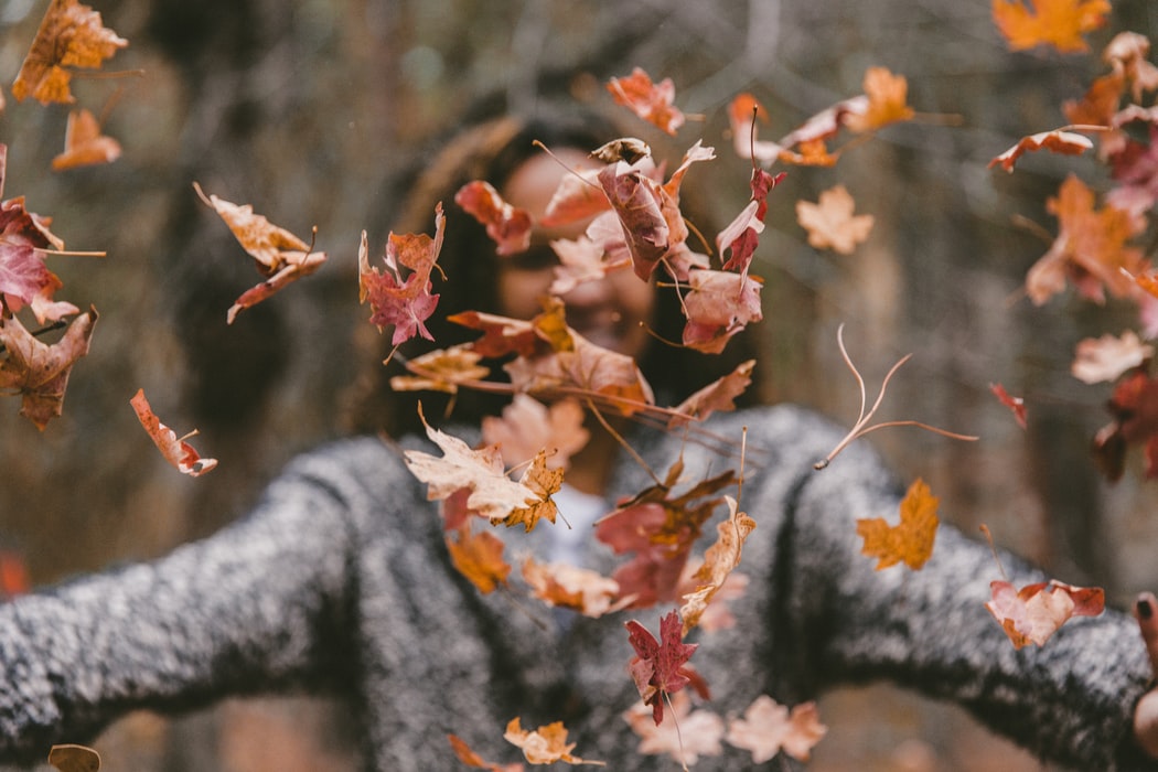 Autumn leave fall