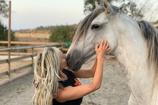 horse farm, Malaga