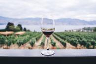 Thumbnail for Grape Stomping, Wine Drinking & Fun Activities in Malaga